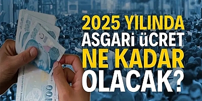 2025 Asgari Ücret İçin Geri Sayım: Uzmanlardan 3 Farklı Tahmin